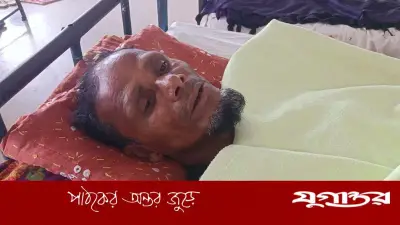 কুকুরের কামড়ে চোর ধরা, হাসপাতালে ভর্তি