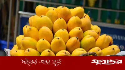 আম দীর্ঘদিন সংরক্ষণের সহজ কৌশল: ৬-৮ মাস তাজা রাখার উপায়