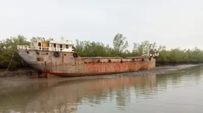 সুন্দরবনের পাশে ফ্লাই অ্যাশবাহী জাহাজ ডুবে যাওয়ার ঝুঁকি