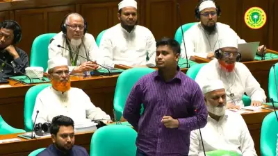 সংসদে হাসনাতের পদত্যাগের চ্যালেঞ্জ, কুষ্টিয়ায় অস্ত্রসহ যুবক আটক