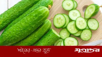 শসা তেঁতো কিনা বুঝবেন কীভাবে? জেনে নিন সহজ কৌশল
