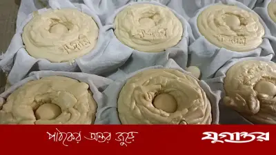 ঝিটকার হাজারী গুড় পেল জিআই সনদ, ঐতিহ্যের নতুন অধ্যায়