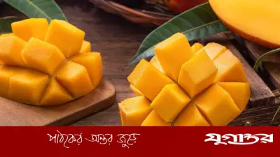 আম উপকারী কিন্তু বেশি খেলে বিপদ: দিনে কতটি খাওয়া নিরাপদ?