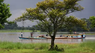 বর্ষার নতুন পানিতে টইটম্বুর হাওর, নৌকা চলেছে দিগন্তজুড়ে