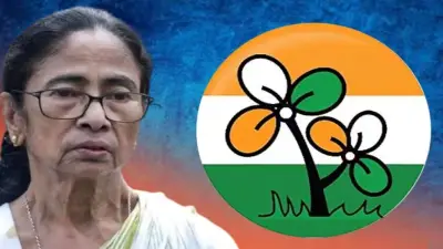 আসল তৃণমূল দাবিতে নতুন কমিটি, প্রতীক নিয়ে টানাপোড়েন