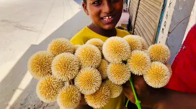 হাওরে নতুন পানি, মহিষের শরীরের তাপমাত্রা নিয়ন্ত্রণ