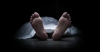 ঠাকুরগাঁওয়ে সড়ক দুর্ঘটনায় নবম শ্রেণির শিক্ষার্থী নিহত