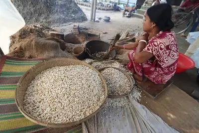 নেই কাজ তো খই ভাজ: প্রবাদের পেছনের শ্রম ও অর্থ