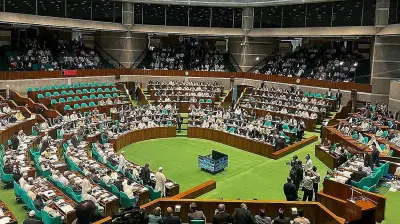 সাইবার স্পেসে নারী সুরক্ষা ও আইনের অপব্যবহার রোধের দাবি সংসদে
