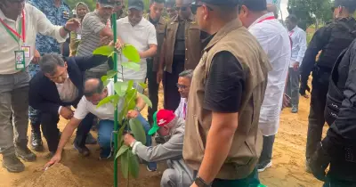প্রধানমন্ত্রী তারেক রহমানের ২৫ কোটি বৃক্ষরোপণ কর্মসূচির উদ্বোধন