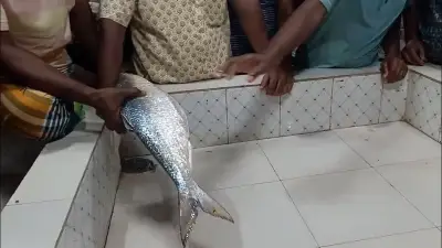 ফেসবুকে ছড়ালো রাষ্ট্রপতির ভিডিও বার্তা, প্রশাসনের নিষেধাজ্ঞা উপেক্ষা