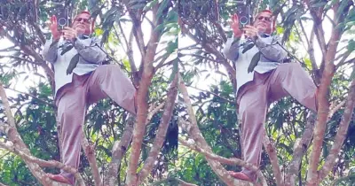 নেটওয়ার্ক না থাকায় গাছে উঠে অনলাইনে হাজিরা দিলেন শিক্ষক