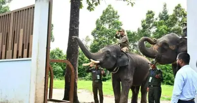প্রধানমন্ত্রী তারেক রহমানের ডুলাহাজারা সাফারি পার্ক পরিদর্শন
