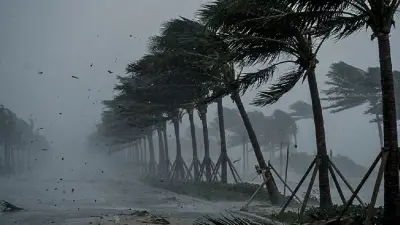 রাজধানীসহ ২০ অঞ্চলে বজ্রসহ বৃষ্টির আভাস, ড্রেনেজ প্রকল্প ভাঙছে, ট্রাম্পকে ‘লুজার’ বললেন বাইডেন