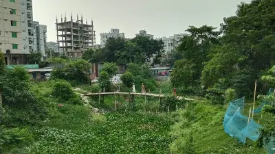 দড়িটানা নৌকা থেকে ছাদবাগান: বাংলার নানা রূপ ক্যামেরায় বন্দী