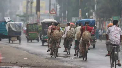 গ্রামীণ জীবনের নানা রূপ: ফুল থেকে ফল, সংগ্রাম থেকে সৌন্দর্য
