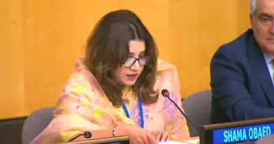 রোহিঙ্গা প্রত্যাবাসনে জোরালো আন্তর্জাতিক পদক্ষেপের আহ্বান