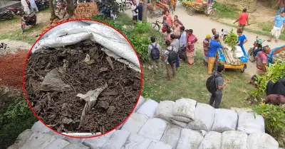 সিরাজগঞ্জে জৈব সারের পরিবর্তে পলিথিন মেশানো মাটি বিতরণের অভিযোগ