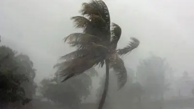 ঢাকাসহ ১৫ জেলায় ৬০ কিমি বেগে বজ্রবৃষ্টির শঙ্কা, হাম উপসর্গে ৩ শিশুর মৃত্যু