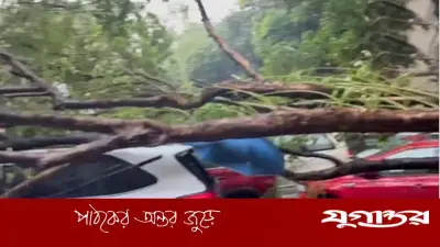 পশ্চিমবঙ্গে ঝড়-বজ্রপাতে ১৩ জনের মৃত্যু, কলকাতা লণ্ডভণ্ড