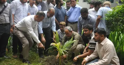 ডা. জুবাইদা রহমানের জন্মদিনে ঢামেকে বৃক্ষরোপণ