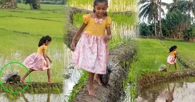 ভাইরাল ভিডিওটি বাংলাদেশের নয়, এটি শ্রীলঙ্কার গ্রামের দৃশ্য