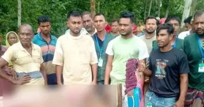 জামালপুরে বনে লাকড়ি কাটতে গিয়ে হাতির আক্রমণে কাঠুরিয়ার মৃত্যু