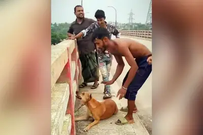 নরসিংদীতে কুকুরের গলায় ইট বেঁধে নদীতে ফেলার ঘটনায় তরুণ আটক