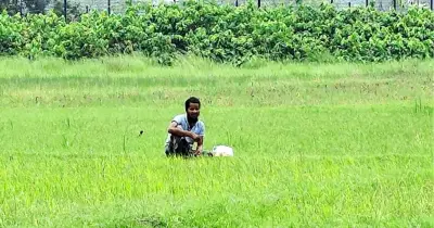 সীমান্তে শূন্যরেখায় আটকা এক যুবক, ১৮ ঘণ্টা পেরিয়ে মানবেতর অবস্থা