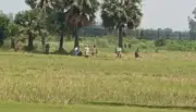 সাপাহার সীমান্তের শূন্যরেখায় আটকে থাকা ৯ জনের ভোগান্তি দীর্ঘায়িত, পতাকা বৈঠক ব্যর্থ