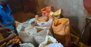রাজধানীতে ভেজাল হলুদের গুঁড়া জব্দ, চার প্রতিষ্ঠান জরিমানা