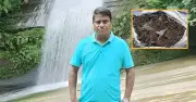 সিরাজগঞ্জে জৈব সার বিতর্কে কৃষি কর্মকর্তা বদলি, তদন্ত কমিটি গঠন