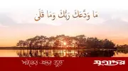 আল্লাহর সান্ত্বনার বাণী: তোমার রব কখনো তোমাকে ছেড়ে যাননি
