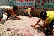 কোরবানির চামড়ায় কাঙ্ক্ষিত দাম না পেয়ে হতাশ ব্যবসায়ীরা