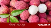 খালি পেটে লিচু খেলে বিষক্রিয়ার ঝুঁকি, চিকিৎসকের সতর্কবার্তা