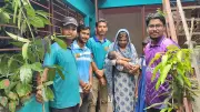 ঈশ্বরগঞ্জে নবজাতকের নামে গাছ লাগাচ্ছে তরুণ সংগঠন