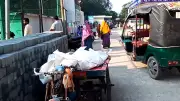 নাটোরে ট্রাক চাপায় দুইজন নিহত, বৃষ্টির পানিতে ডুবে দুই শিশুর মৃত্যু