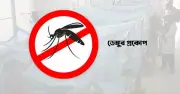 দেশে ডেঙ্গু প্রাদুর্ভাব বাড়ছে, ২৪ ঘণ্টায় ১১০ জন হাসপাতালে