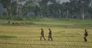 বেনাপোল সীমান্তে পুশ-ইন সংকট, বিএসএফের সাড়া নেই