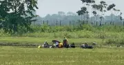 বেনাপোল সীমান্তে ১৩ জনকে পুশইনের চেষ্টা বিএসএফের, বিজিবির বাধায় ব্যর্থ
