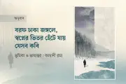নর্ডিক কবিতার জাদু: প্রকৃতি, প্রেম ও বিষণ্নতার অপূর্ব মেলবন্ধন