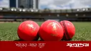 আইসিসির বোর্ড সভায় গোলাপি বল ব্যবহার ও নারী ক্রিকেটে নতুন সিদ্ধান্ত