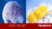ঠান্ডা খাবারে মাথাব্যথা: ব্রেইন ফ্রিজের রহস্য ও প্রতিকার