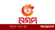 নগদে সিনিয়র সিস্টেম ইঞ্জিনিয়ার পদে নিয়োগ, আবেদন শুরু ২ জুন
