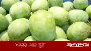 মালয়েশিয়ার বাজারে বাংলাদেশি আম রপ্তানির পথ উন্মুক্তের সম্ভাবনা