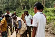অজগর শাবক খরগোশ গিলে বমি করে দিল, বন বিভাগ উদ্ধার করে ছেড়ে দিল