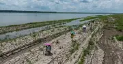 এল নিনোর প্রত্যাবর্তনে প্রস্তুত থাকার আহ্বান জাতিসংঘের