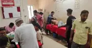 শিবগঞ্জে জমি বিরোধে আম পাড়া কেন্দ্র করে সংঘর্ষ, আহত ১২
