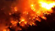 ইসরায়েলি হামলায় গাজায় নিহত ২৪, আহত ৭০