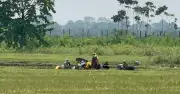বেনাপোল সীমান্তে বিএসএফের পুশইন প্রচেষ্টা ব্যর্থ, বিজিবির কঠোর অবস্থান